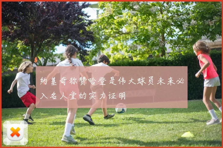约基奇称赞哈登是伟大球员未来必入名人堂的实力证明