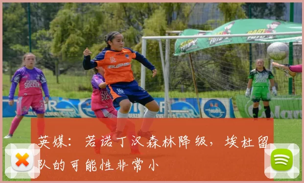 英媒：若诺丁汉森林降级，埃杜留队的可能性非常小