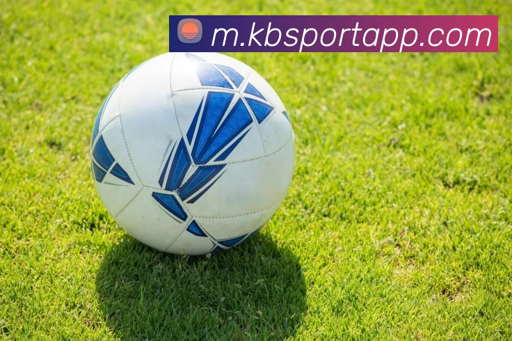 KB体育APPAPP 高清赛事图